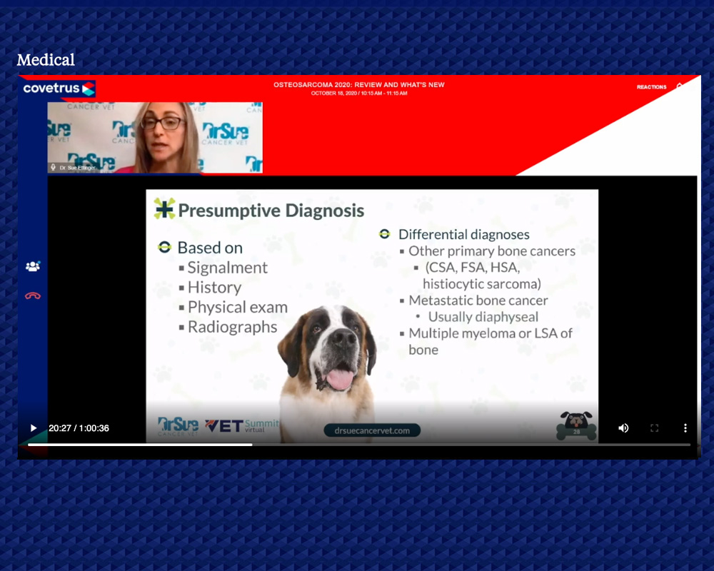 Covetrus Virtual Conference